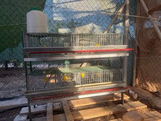 Jaula para codornices