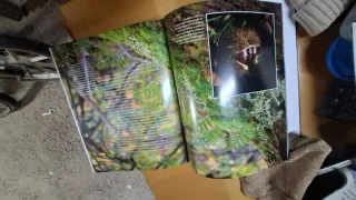 Cangas de Onis. Libro tapa dura.