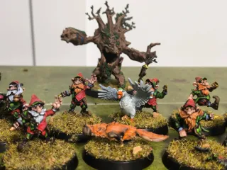 Equipo Blood Bowl Gnomos