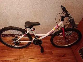 Bicicleta infantil Denbike 24