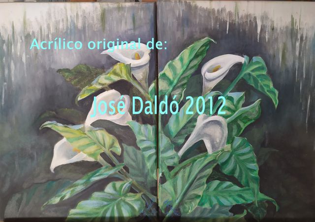 Quadri Acrilico Fiori Calas