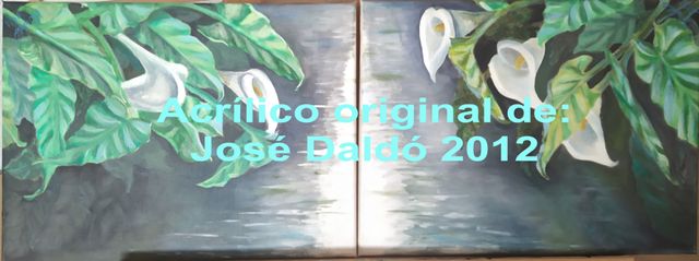 Quadri Acrilico Fiori Calas