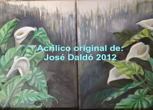 Quadri Acrilico Fiori Calas