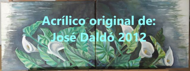 Quadri Acrilico Fiori Calas