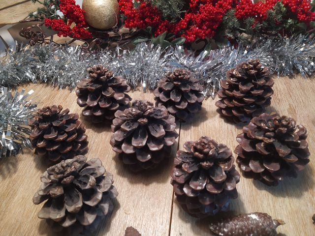 Pigne naturali verniciate per Natale
