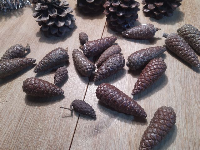 Pigne naturali verniciate per Natale