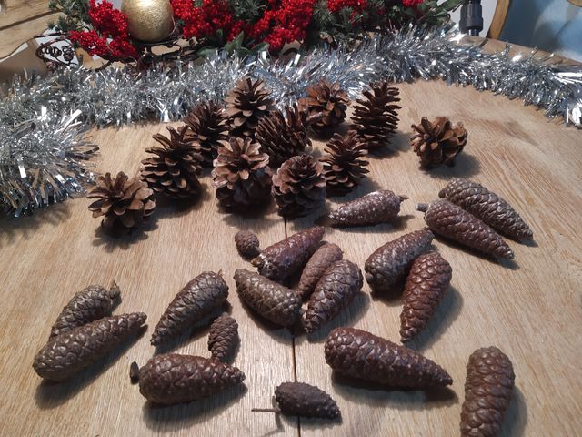 Pigne naturali verniciate per Natale