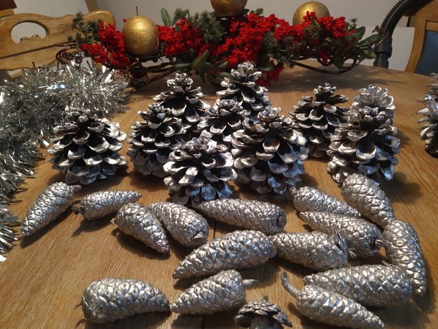 Pigne natalizie in argento