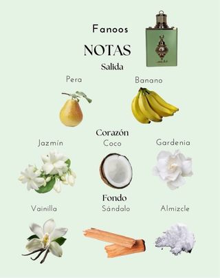 Perfume Fanoos Lattafa