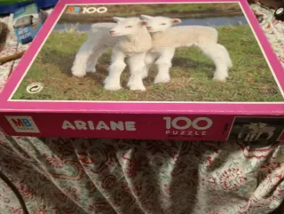 Puzzle MB Ariane 100 pezzi agnelli