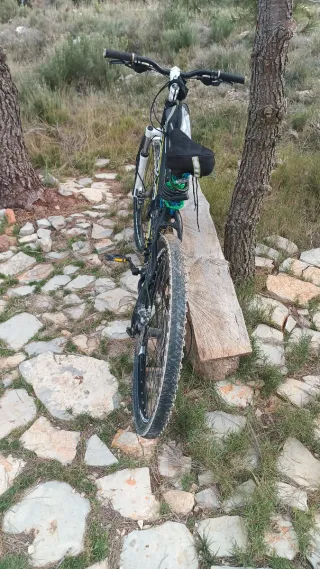 Bicicleta de montaña Connor Scott