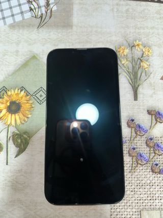 iPhone 13 Pro Max Grafito