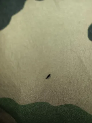 Parka Esercito Francese Camouflage