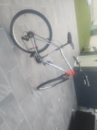 Bicicleta de Montaña