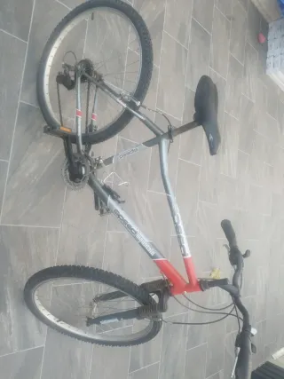 Bicicleta de Montaña