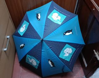 Paraguas Antártida Pingüinos