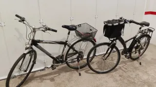 2 Bicicletas de Paseo