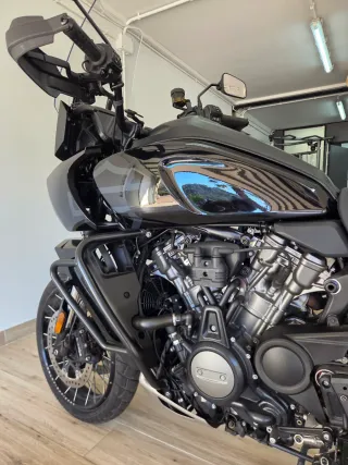 Harley-Davidson Pan America 1250 Special 2022