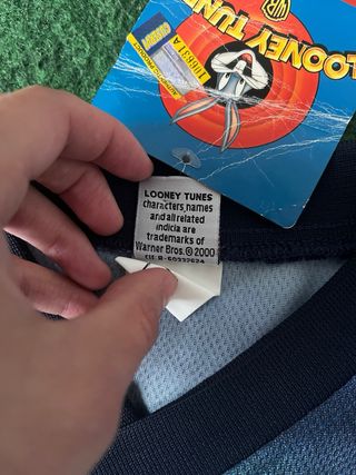 Camiseta Looney Tunes 1999 Taz Surf