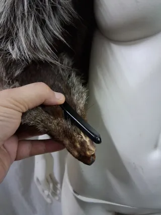 Stola scialle vera pelle marrone/grigio