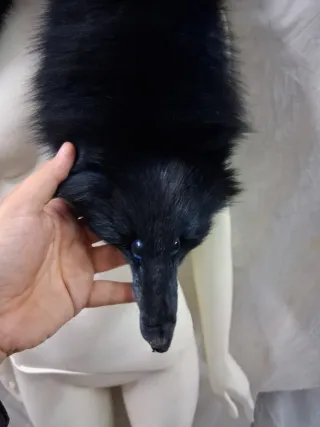 Stola scialle vera pelle donna nero