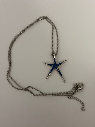 Colgante estrella de mar azul y plata