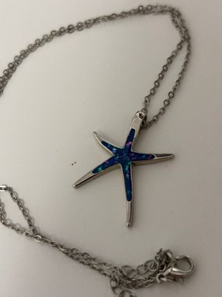 Colgante estrella de mar azul y plata