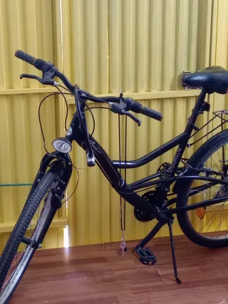 Bicicleta Negra
