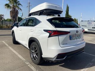 Lexus NX 2019 2.5 300h Business