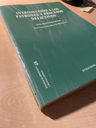 Introducción a los patrones y procesos delictivos