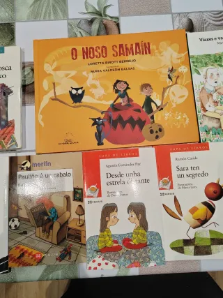 Lote de once libros infantil/juvenil en gallego.