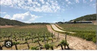 Se busca podadores de valdepeñas