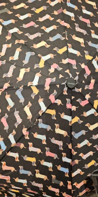 Bolsa Tote y Paraguas Perro Salchicha