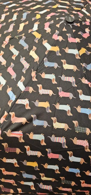 Bolsa Tote y Paraguas Perro Salchicha