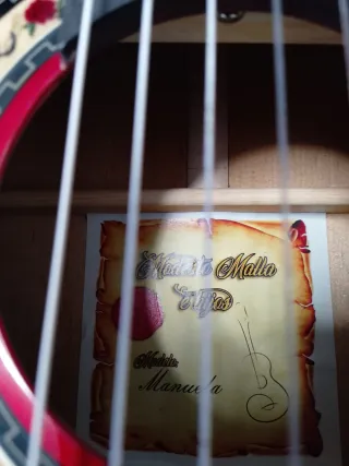 Guitarra flamenca autoamplificada