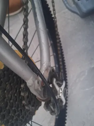 SPECIALIZED ROCKHOPPER DL 29 Talla 19