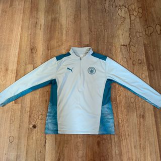 Sudadera Puma Manchester City Gris/Verde