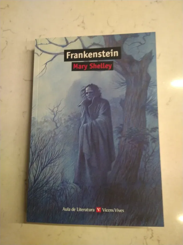 Frankenstein - Aula De Literatura (Spanish Edit...