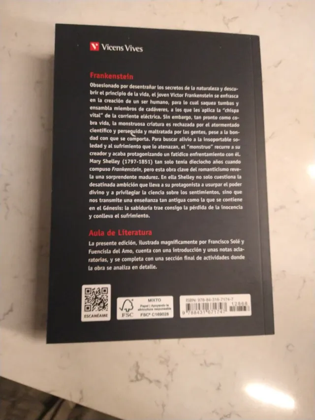 Frankenstein - Aula De Literatura (Spanish Edit...