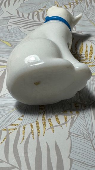 Gato Opalina Avon Azul