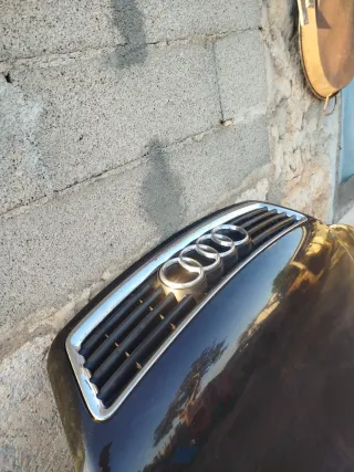 Capó y parrilla Audi A6 C5 Allroad