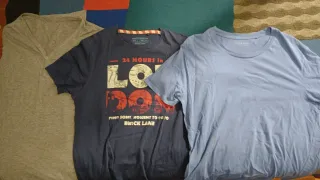 Pack 3 camisetas 100% algodón