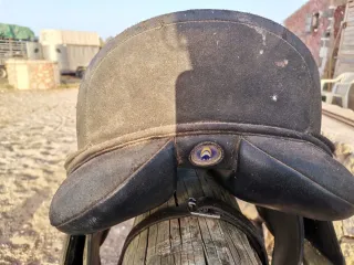 Montura Doma Wintec Isabell Werth