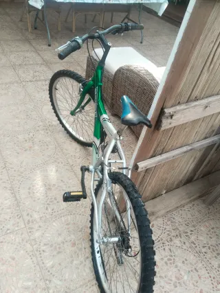 Bicicleta Montaña Verde