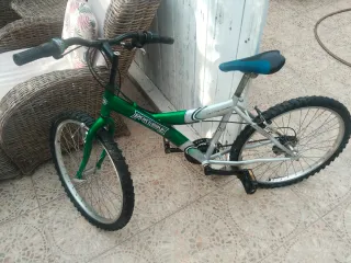 Bicicleta Montaña Verde