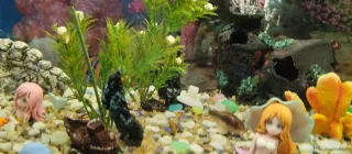 Acquario completo 80 litri