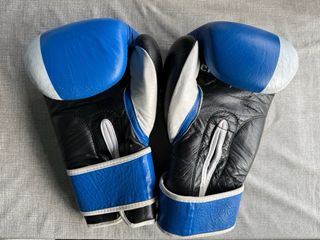Boxeo Guantes Leone