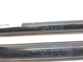 AMORTIGUADORES MALETERO / PORTON CITROEN C3 (7)