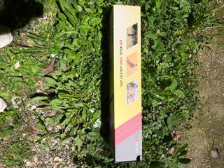 Metal Detector Minelab Go-Find 22