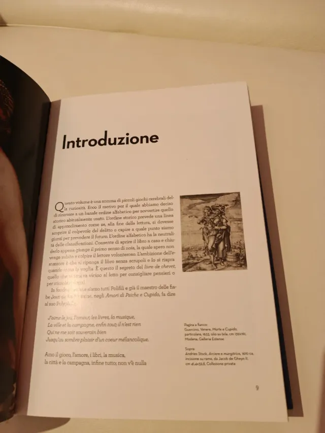 Il gioco della pittura storie, intrecci, invenz...